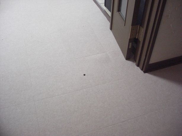 e0142430_23213024.jpg