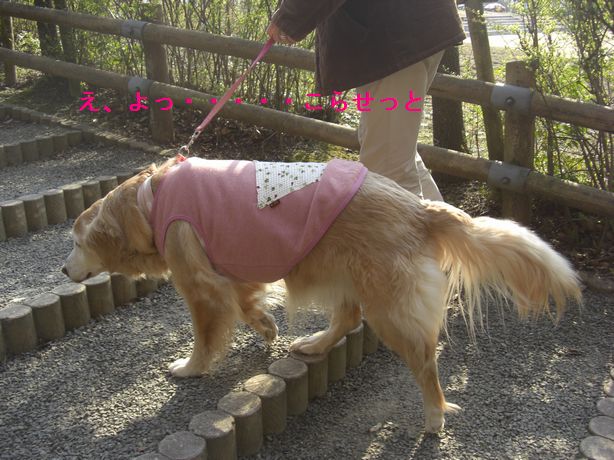 e0142430_2338132.jpg