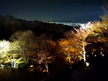 b0035734_2031325.jpg