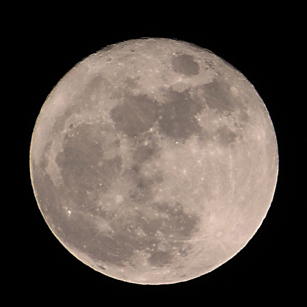 e0044635_913235.jpg