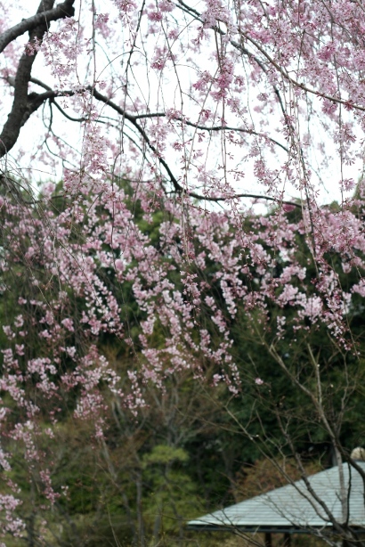 f0157538_2058205.jpg