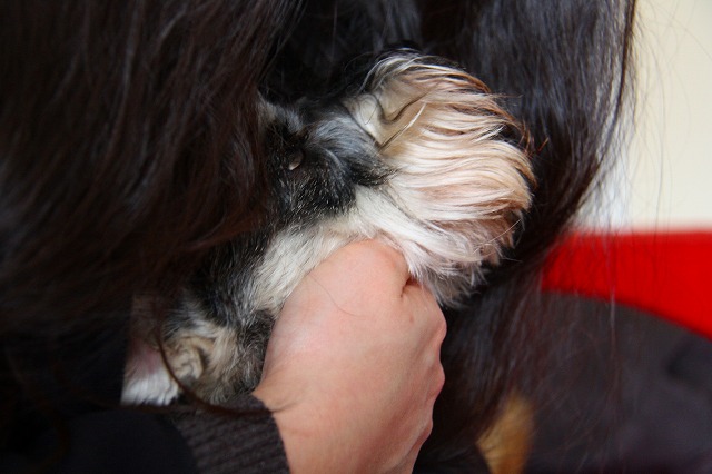 c0153740_2014233.jpg