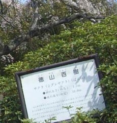 e0110940_11392561.jpg