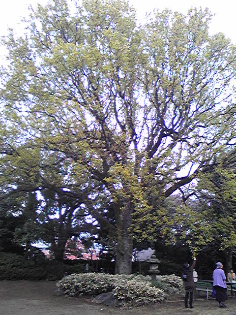 e0087443_21121475.jpg