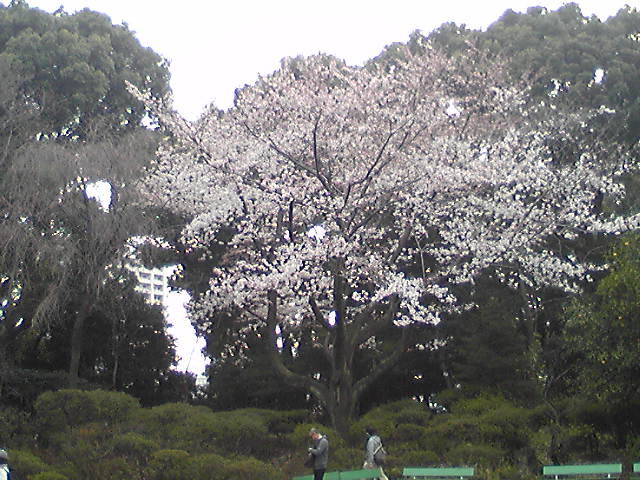 e0087443_2121238.jpg