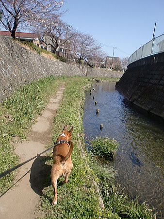 f0094843_0445536.jpg
