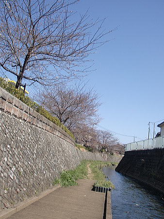 f0094843_045501.jpg