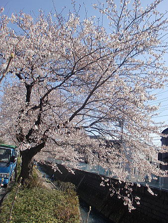 f0094843_0532575.jpg