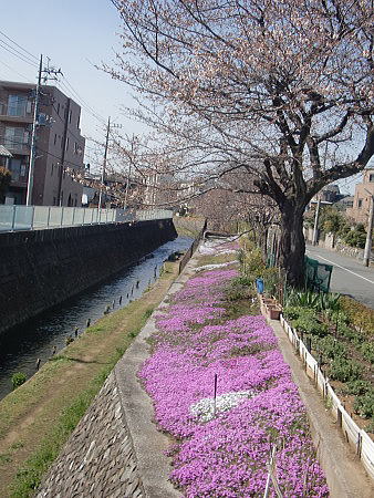 f0094843_0562965.jpg