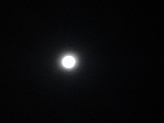 b0118544_23345644.jpg