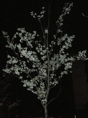 f0107145_22562383.jpg