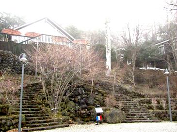 a0004546_1474766.jpg
