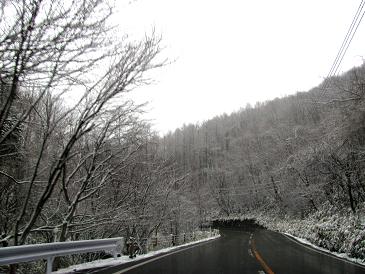 a0004546_20469.jpg