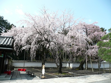 c0057946_1951763.jpg