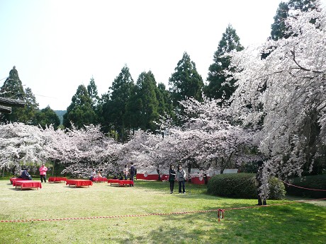 c0057946_19543969.jpg