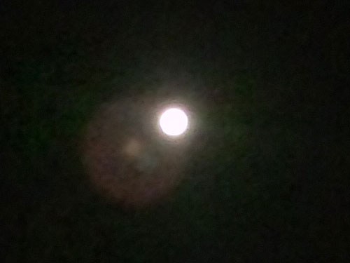 e0034047_11531881.jpg