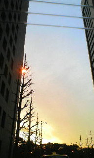 f0071647_20493124.jpg
