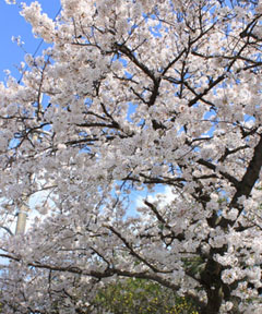 f0075847_18374397.jpg