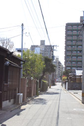 f0075847_1864440.jpg