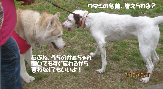 e0121548_2236549.jpg
