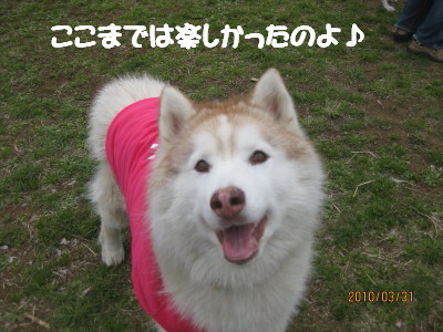 e0121548_23275587.jpg