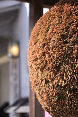 e0171249_8141021.jpg