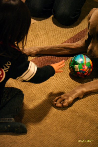 d0036450_8174359.jpg