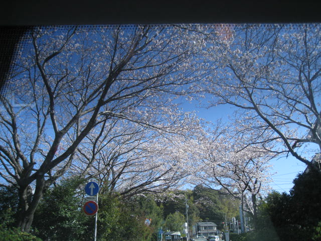 c0177951_1458531.jpg