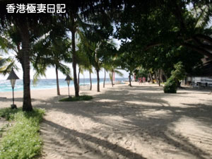f0190653_11323975.jpg