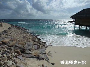 f0190653_11332212.jpg