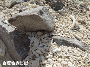 f0190653_11334475.jpg