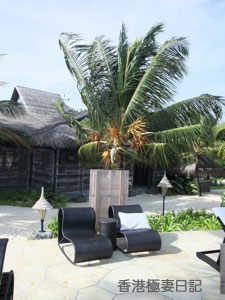 f0190653_11351146.jpg
