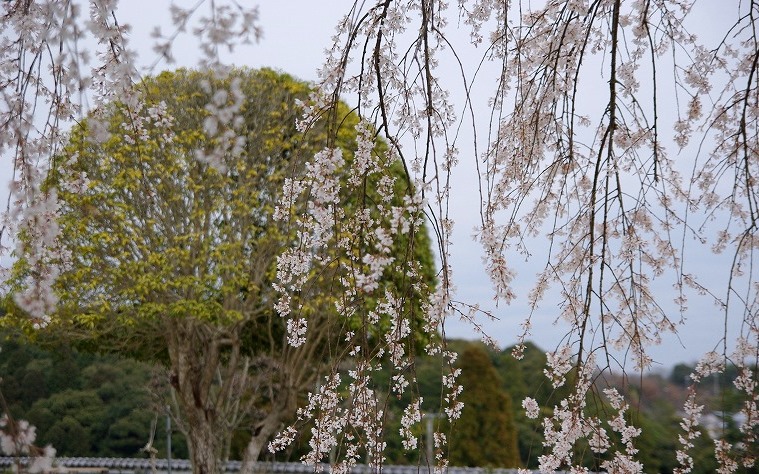 f0207754_22125190.jpg
