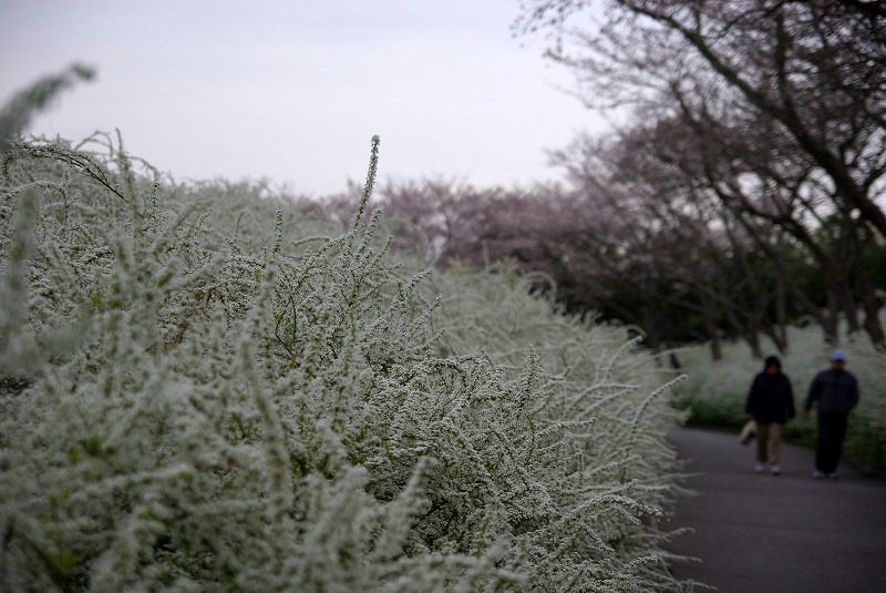 f0207754_2247529.jpg