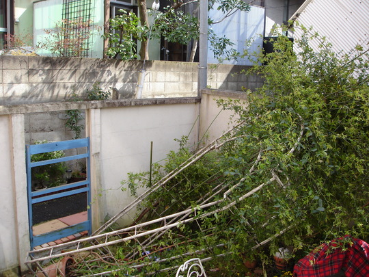 e0044855_17105618.jpg