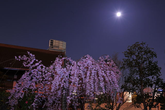 f0222161_23383552.jpg