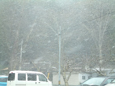 c0050264_1355030.jpg