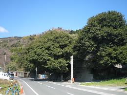 e0197164_11446100.jpg