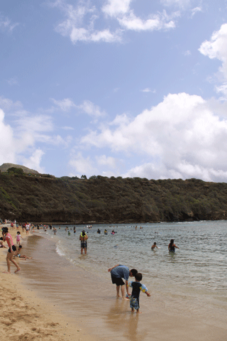 f0107364_2325878.gif