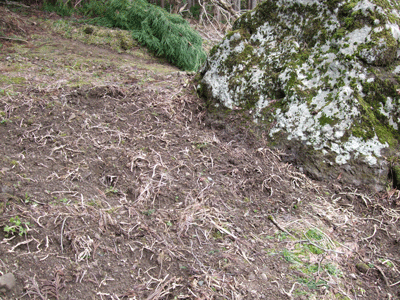 d0094868_1943767.gif