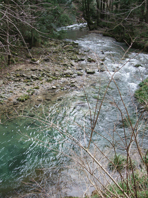 d0094868_1952058.gif