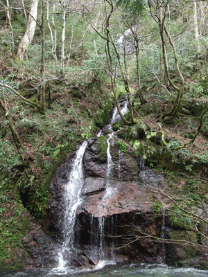 d0094868_1953790.gif