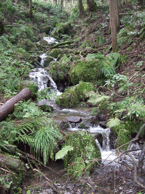 d0094868_1955221.gif