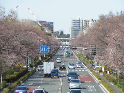 c0112172_15481659.jpg
