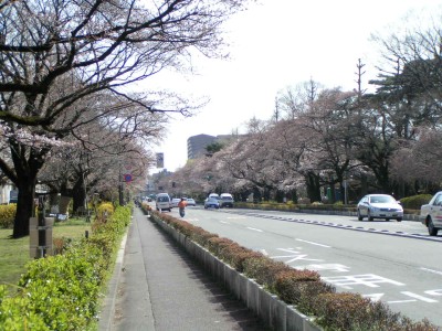 c0112172_15483100.jpg
