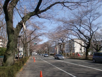 c0112172_15485087.jpg