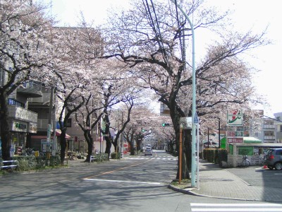 c0112172_15491280.jpg