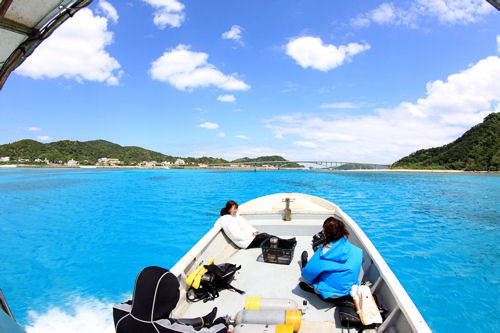 d0114375_2344178.jpg