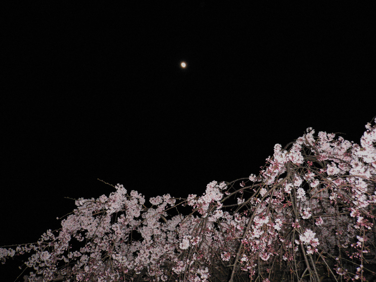 e0112077_3213426.jpg