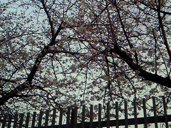 c0066080_16391523.jpg